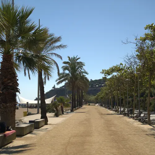 Promenade in Calella mit Palmen.